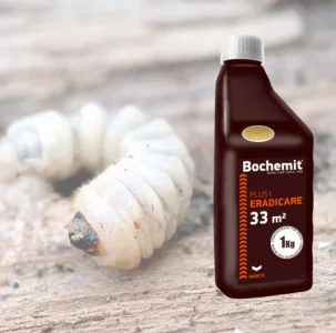 tratament lemn atacat eradicare insecte 1