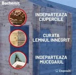 Solutie antimucegai Bochemit 0.5L - Solutie curatare lemn innegrit si mucegai - imagine 2