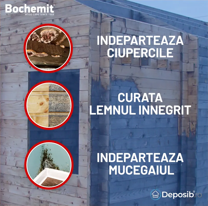tratament lemn curatare mucegai lemn innegrit bochemit antimucegai 2