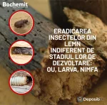 Solutie eliminare insecte lemn atacat - Bochemit Plus I 15Kg - imagine 2