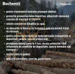 Bochemit Bluestop 600 Kg - Solutie conservant lemn impotriva innegririi - imagine 3