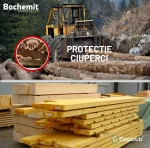 Bochemit Bluestop 600 Kg - Solutie conservant lemn impotriva innegririi - imagine 2