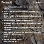 Solutie eliminare insecte lemn atacat - Bochemit Plus I 15Kg - imagine 3