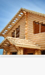 categorie tratament lemn protectie preventiva insecte ciuperci mucegai