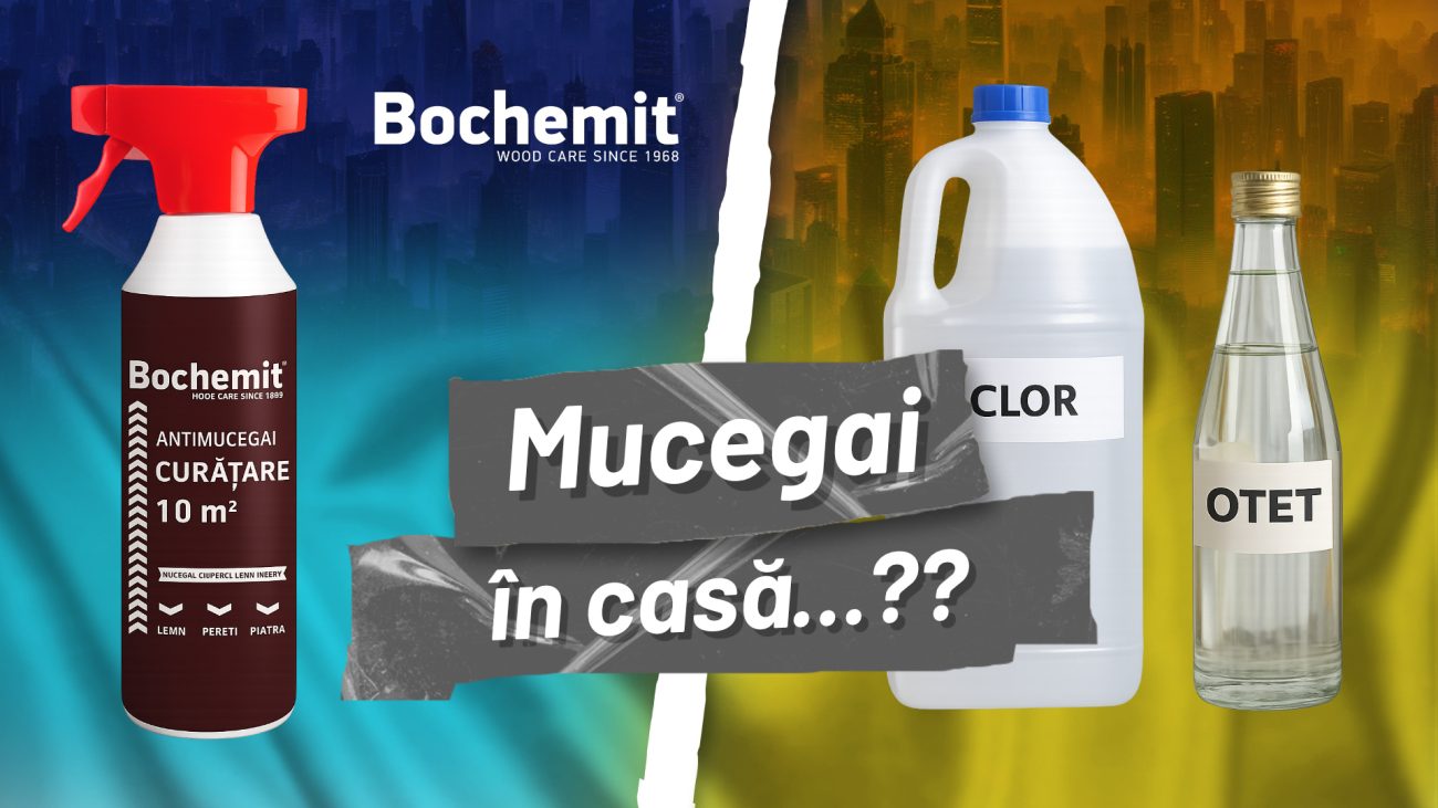 mucegai in casa