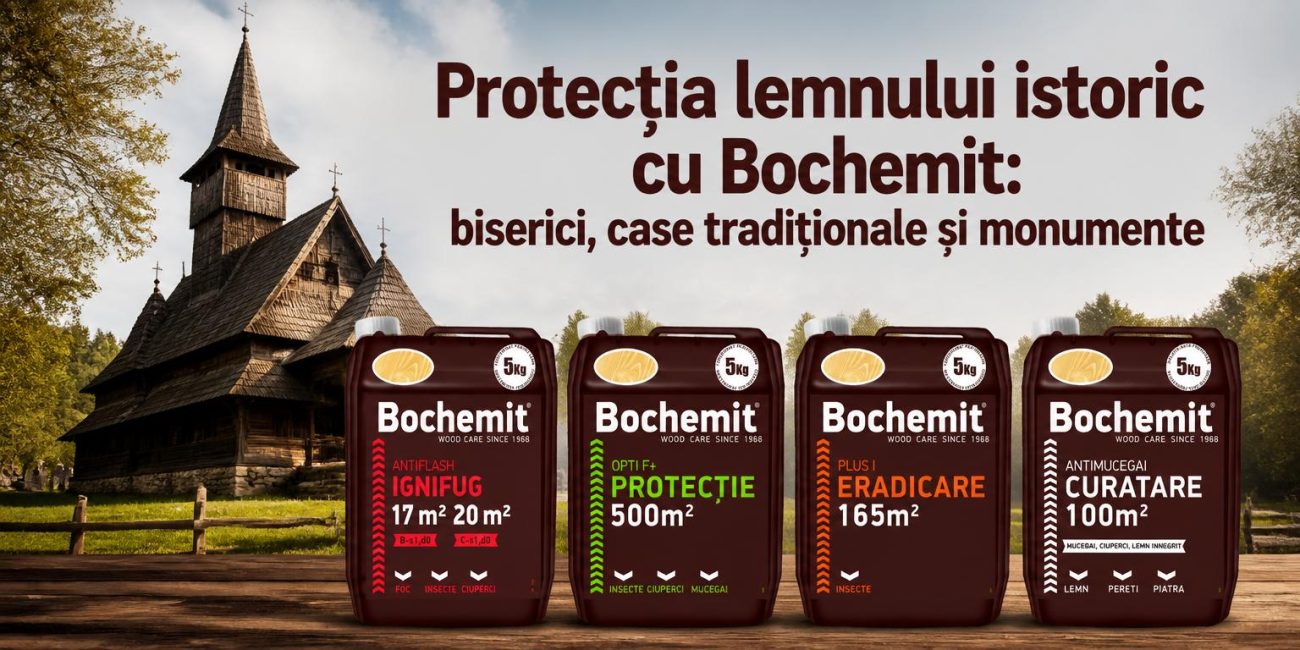 Bochemit Istoria Lemnului