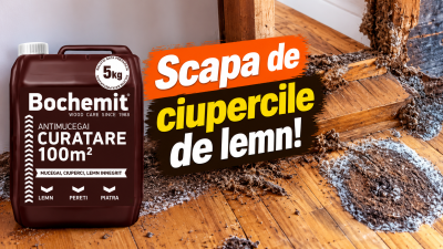 Bochemit Curatare Ciuperci